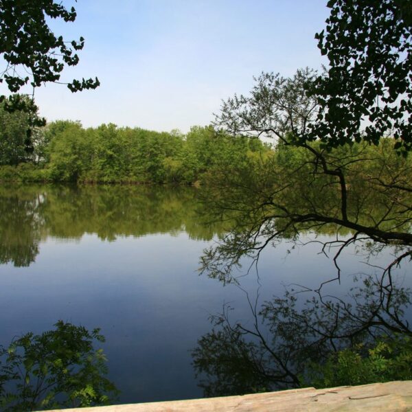 Woman Saves Girl from Fast-Moving River, but Doesn’t Resurface. Now, Search Is Entering 2nd Day