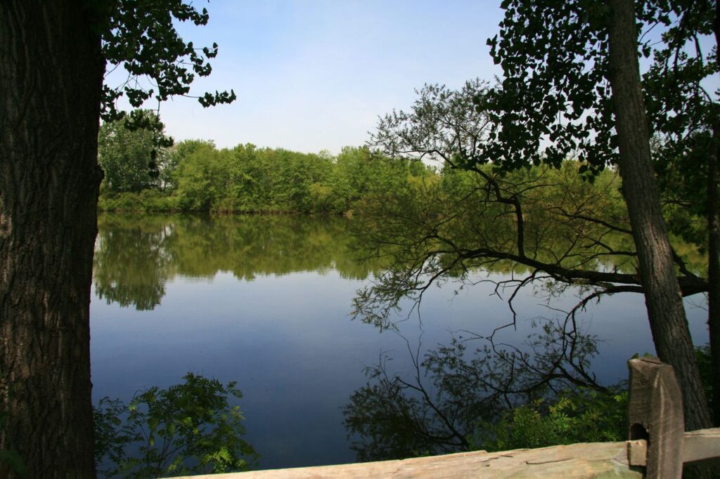 Woman Saves Girl from Fast-Moving River, but Doesn’t Resurface. Now, Search Is Entering 2nd Day