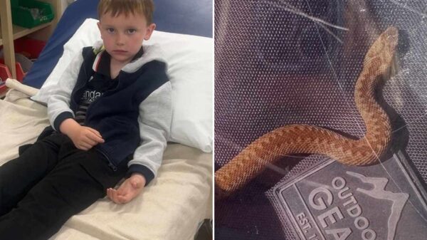 Animal-Loving Boy, 6, Thought He Was Petting a Lizard. It Was Actually a Venomous Snake — and It Attacked Him