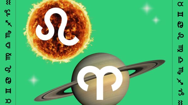 3 Zodiac Signs Make Their Dreams a Reality as the Sun Trines Saturn Retrograde
