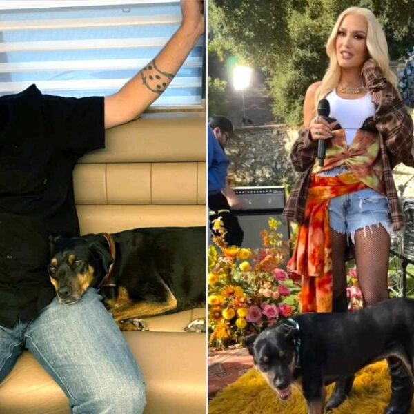 Blake Shelton and Gwen Stefani’s Dog Dies at 18: ‘Our Sweet Betty Has Gone to Heaven’