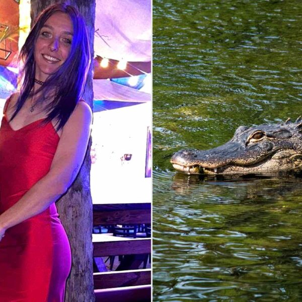 Woman’s Left Arm Was Nearly ‘Completely Amputated’ and Teeth Marks Were Found on Her Bones Following Deadly Alligator Attack