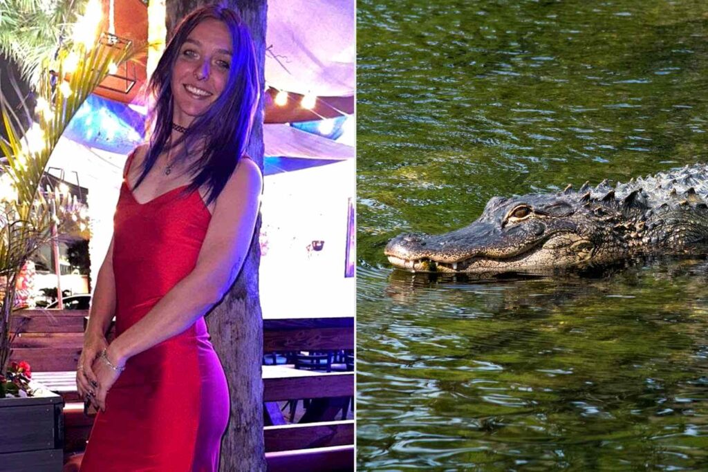 Woman’s Left Arm Was Nearly ‘Completely Amputated’ and Teeth Marks Were Found on Her Bones Following Deadly Alligator Attack