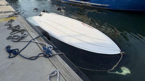 Man Accused in New York Harbor Boat Crash That Killed Woman and Infant Faces Deportation