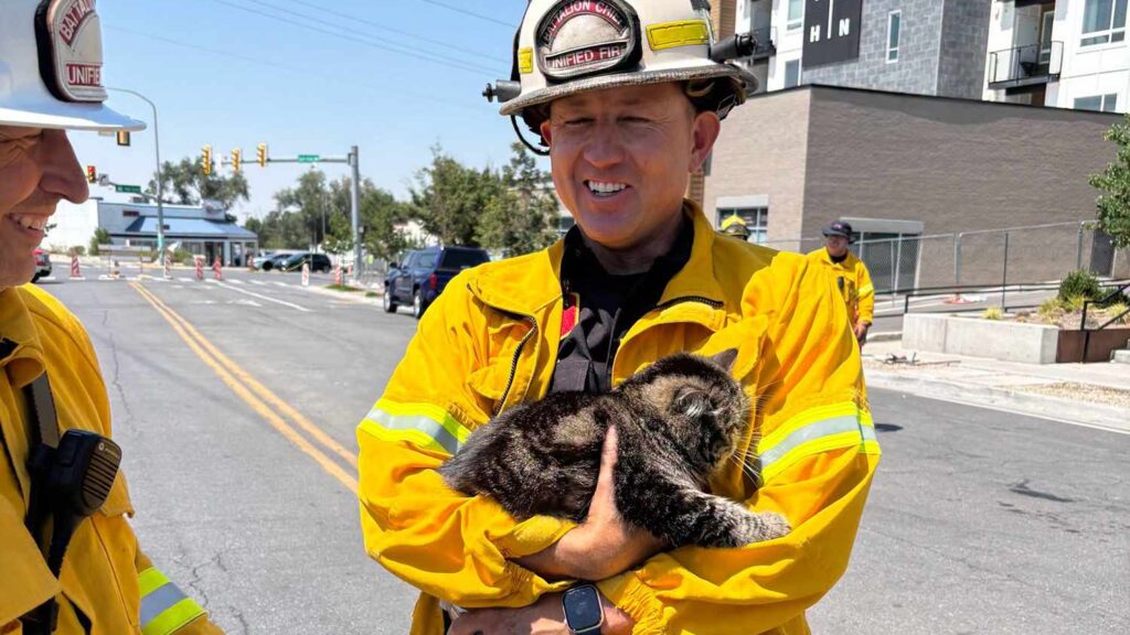 Cat Found Alive More Than 3 Days After Utah Apartment Fire Reunites with Family