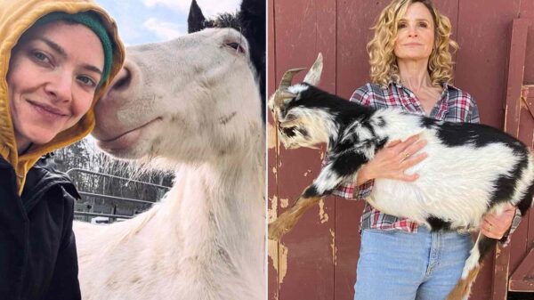 11 Celebrities Who Have More Than 10 Pets