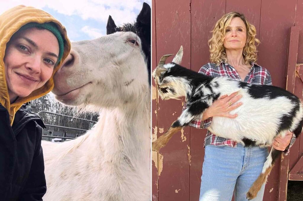 11 Celebrities Who Have More Than 10 Pets