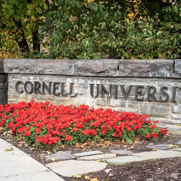 Rape Reported at Cornell Freshman Dorm Days After Lawsuit Filed Alleging 2024 Frat House Gang Rape