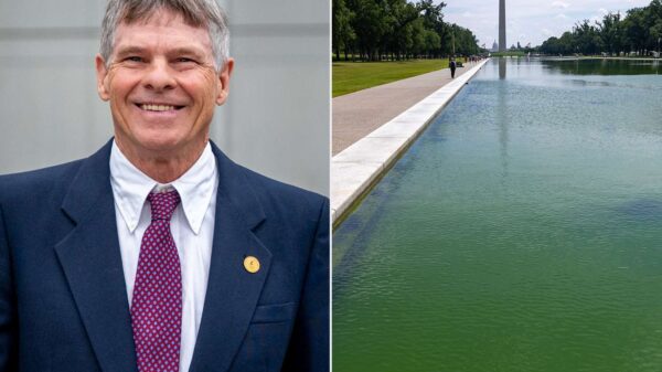 Judge Dismisses Lincoln Memorial Reflecting Pool Vandalism Case Against Olympian David Hearn