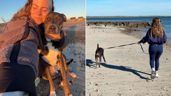 Teacher Made $35K Walking Dogs Before Leaving Teaching to Turn Her Side Hustle Into a Full-Time Career Averaging $4,500 a Month (Exclusive)