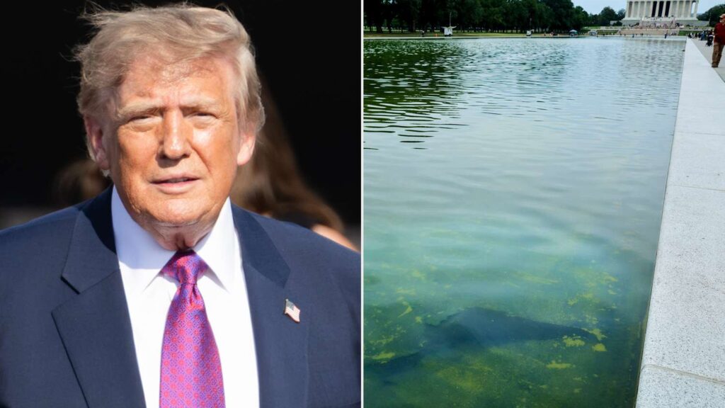 Trump’s Attempts to Fix Reflecting Pool Continue as Administration Pays $2.65M More to Address Algae