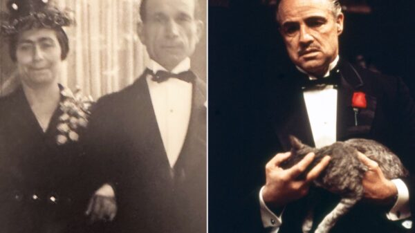 “The Godfather” Doesn’t Represent My Italian-American Family’s Story — So I Wrote It Myself (Exclusive Essay)