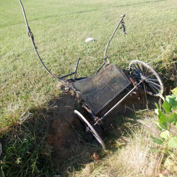 49-Year-Old Woman Killed, 2 Others Injured After Horse-Drawn Carriage Hit by SUV in Ohio