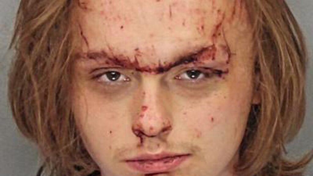 Man, 21, Allegedly Tried to Run Over Woman 3 Times After She Said ‘Good Morning’