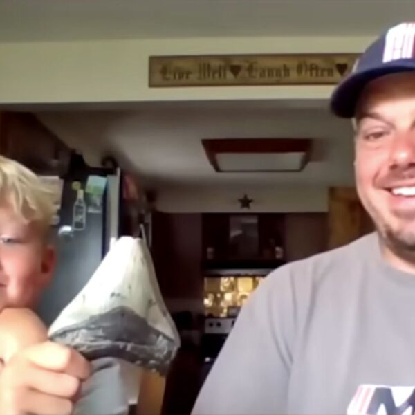 Father and Son Discover Enormous Shark Tooth Dating Back Over 3 Million Years at Jersey Shore