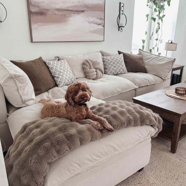 One Year Later, My Albany Park Couch Still Holds Up to Kids, Pets, and Everyday Messes — Save $1,600 for Labor Day