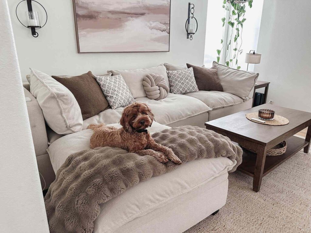 One Year Later, My Albany Park Couch Still Holds Up to Kids, Pets, and Everyday Messes — Save $1,600 for Labor Day
