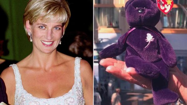 How Much Is the Princess Diana Beanie Baby Worth? Everything to Know About the Rare Toy