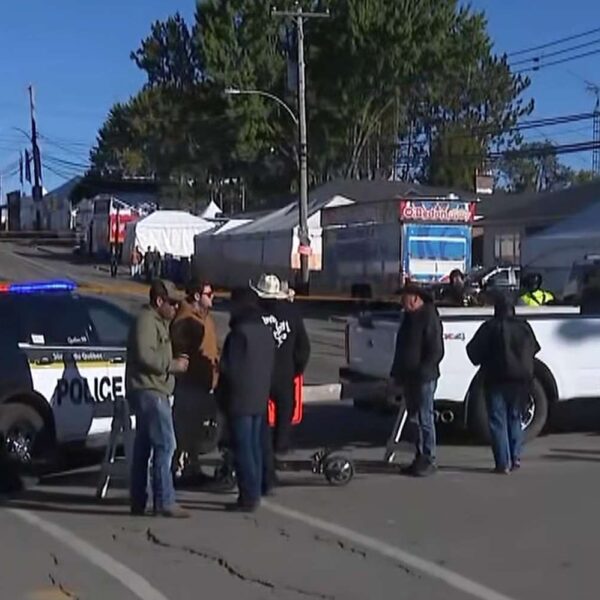 6 Injured at Country Festival After Vehicle Slams into Crowd and Alleged Driver Attempts to Evade Arrest