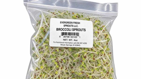 Broccoli Sprouts Linked to Salmonella Outbreak in 4 States