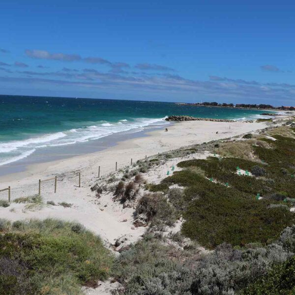 Swimmer Killed in ‘Shocking’ Shark Attack at Popular Beach Destination