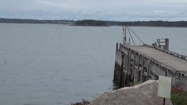 Grandma Died Trying to Help Young Grandkids, 3 and 5, Escape Submerged Vehicle, Heartbroken Dad Says