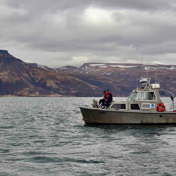 Boy, 15, Survives Hanging onto Capsized Boat for Days in Alaskan Sea After His Brother and Cousin Drowned and Died