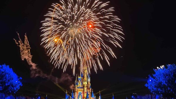 ‘Disney Adult’ Mom Watched Magic Kingdom’s Fireworks Show as She Delivered Her Second Baby