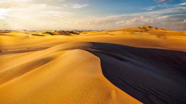 Scientists Discover 66 Million-Year-Old Prehistoric Shark ‘Graveyard’ in the Egyptian Desert