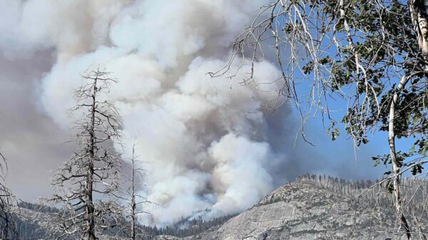 2 Killed in Helicopter Crash While Fighting Wildfire in Yosemite National Park