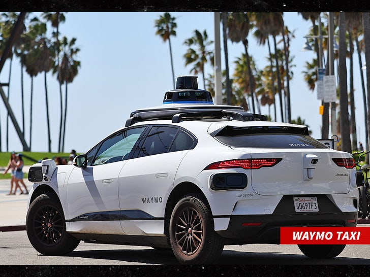 waymo self driving taxi car sub