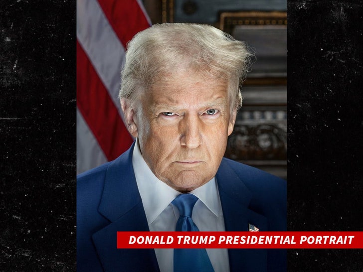 donald trump presidential portrait sub swipe