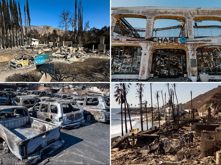 Los Angeles Fires -- The Heart-Breaking Aftermath