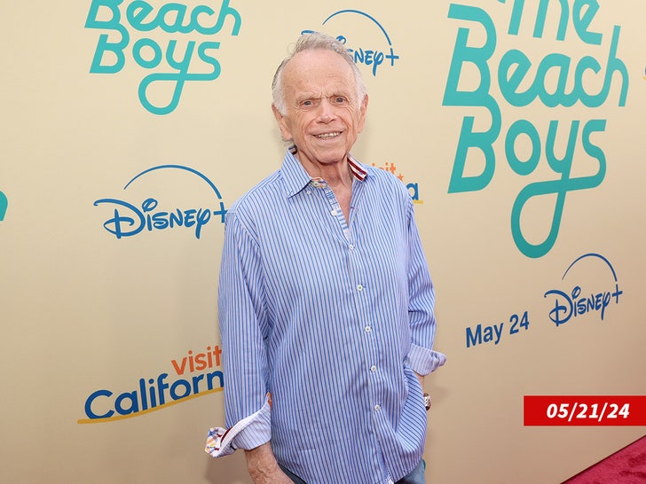 Al Jardine beach boys sub getty swipe