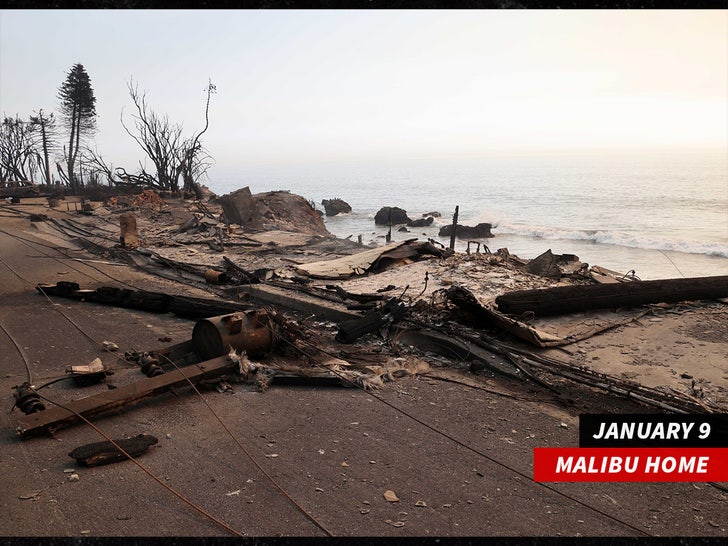 Powerball winner Edwin Castro's Malibu beachfront home after fire backgrid sub swipe