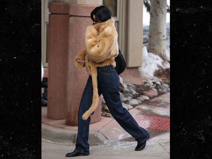 0120-kylie-kendall-jenner-aspen-fur-fashion-photos-primary-3