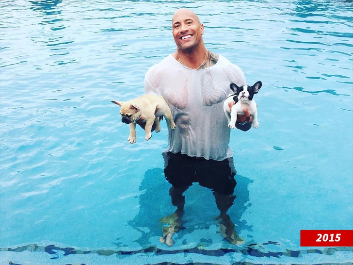 dwayne johnson and dog hobbs insta 2