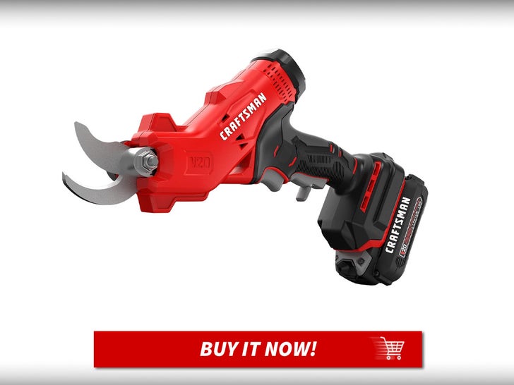 CRAFTSMAN-Cordless-Electric-Pruner-MAIN