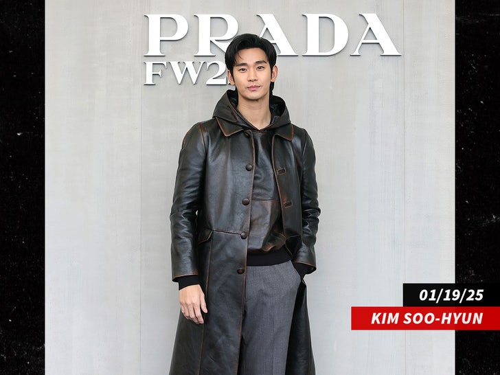 Kim Soo-hyun sub getty swipe