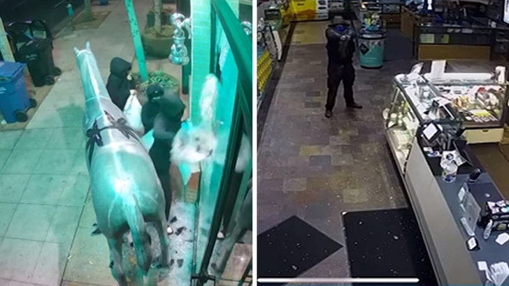 weed-store-burglary-kal-05-19-2025