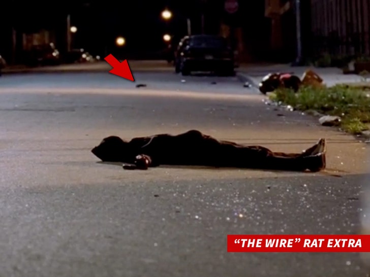 'The Wire' Rat Extra