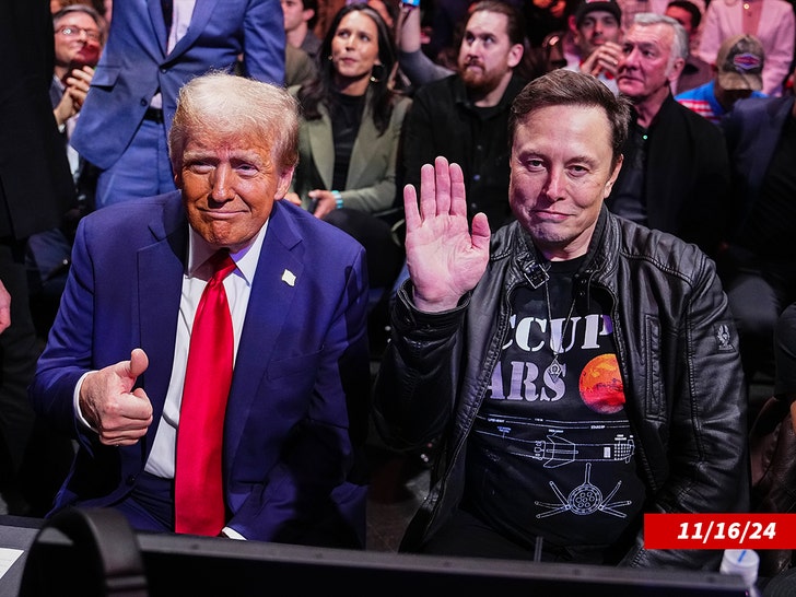 donald trump and elon musk getty 1