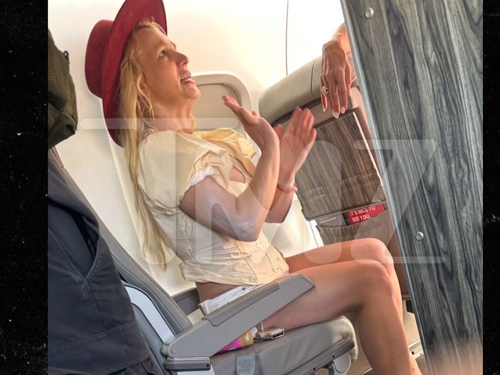 britney spears plane tmz wm main