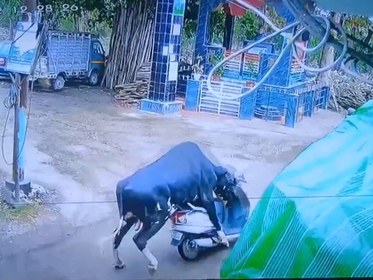 050925-bull-scooter-primary-3