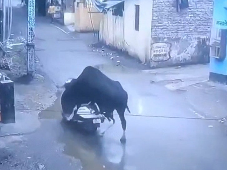050925-bull-scooter-primary-2