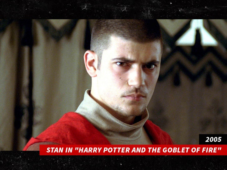 Stan Yanevski harry potter alamy sub swipe