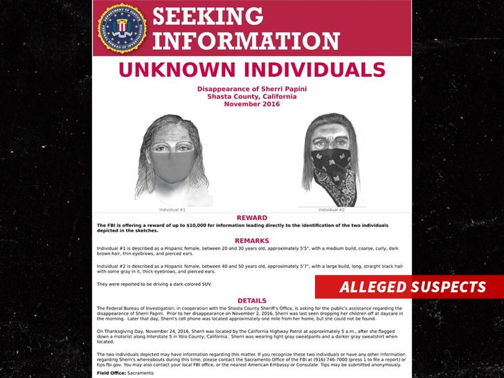 sherry papini suspects fbi 4