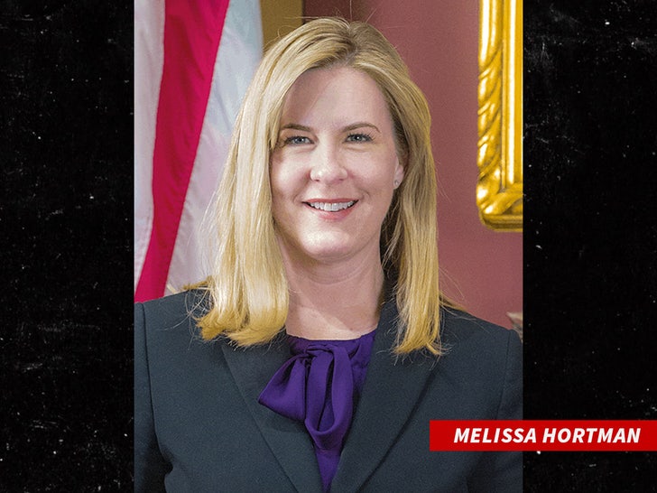 minnesota legislature house speaker Melissa Hortman sub senate.mn.gov swipe