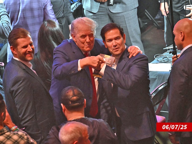 donald trump dana white ufc 3