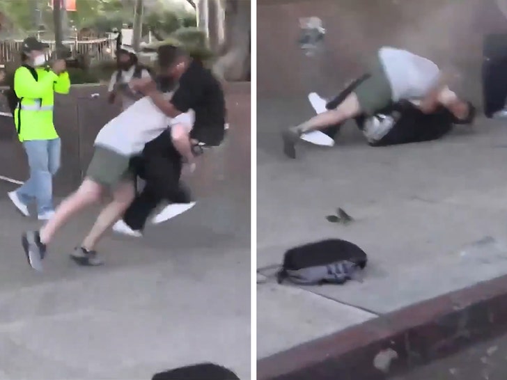 Protester Body Slammed